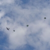 Parachute Jump Course073